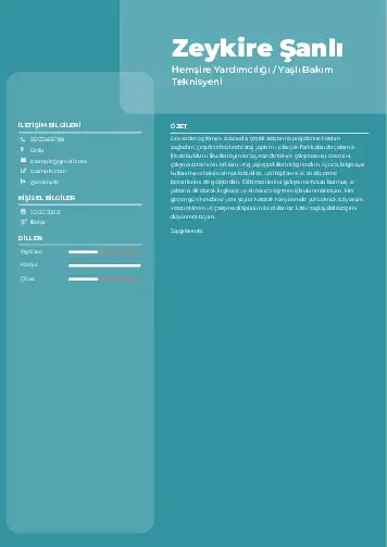 Hasta ve Yaşlı Bakım Elemanı Cv Örnekleri cv indir